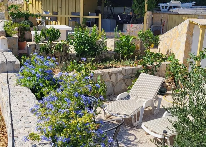 Infinitas טרוגיר